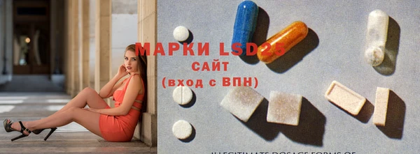 apvp Белокуриха
