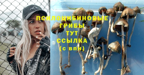 ECSTASY Баксан