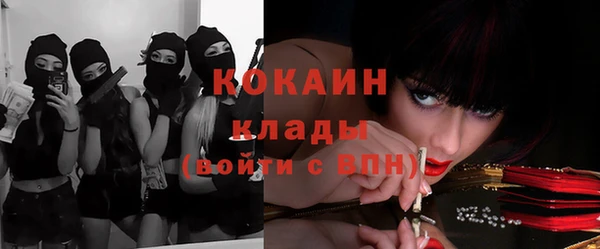 apvp Белокуриха