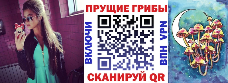 Псилоцибиновые грибы GOLDEN TEACHER  Короча 